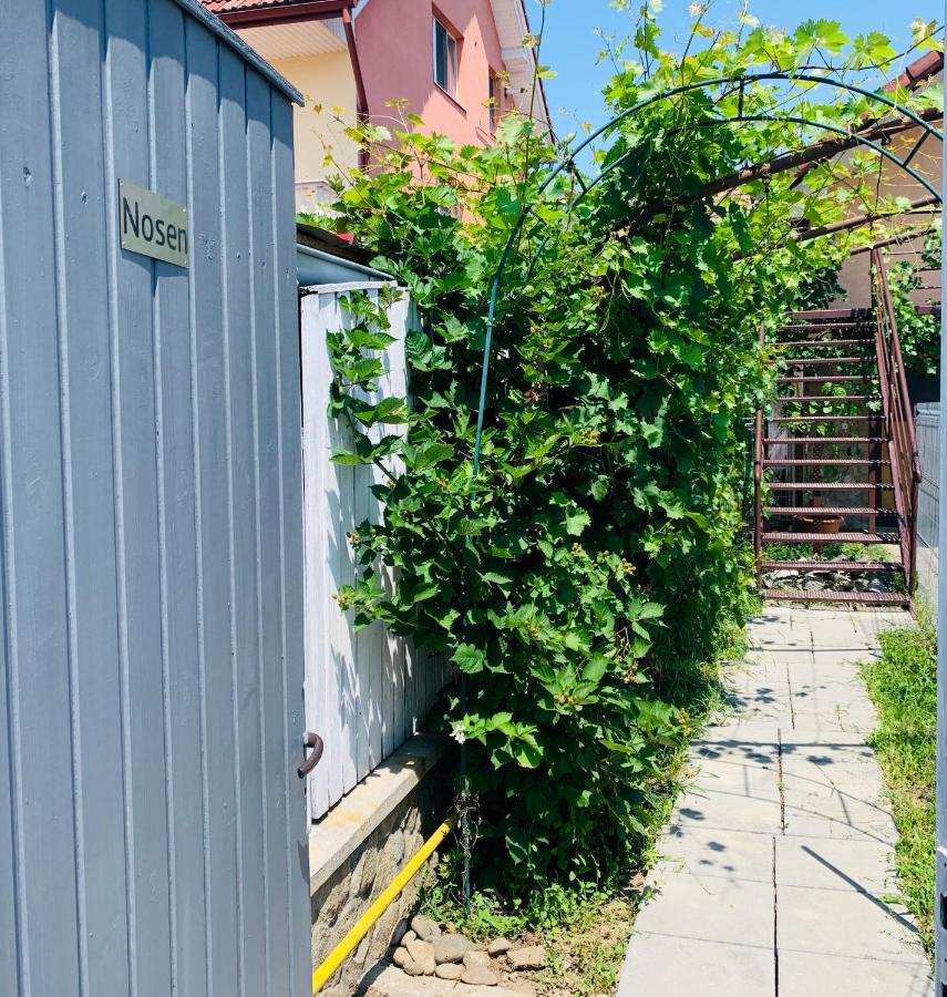 Nosen Apartment Bistrita  Ngoại thất bức ảnh